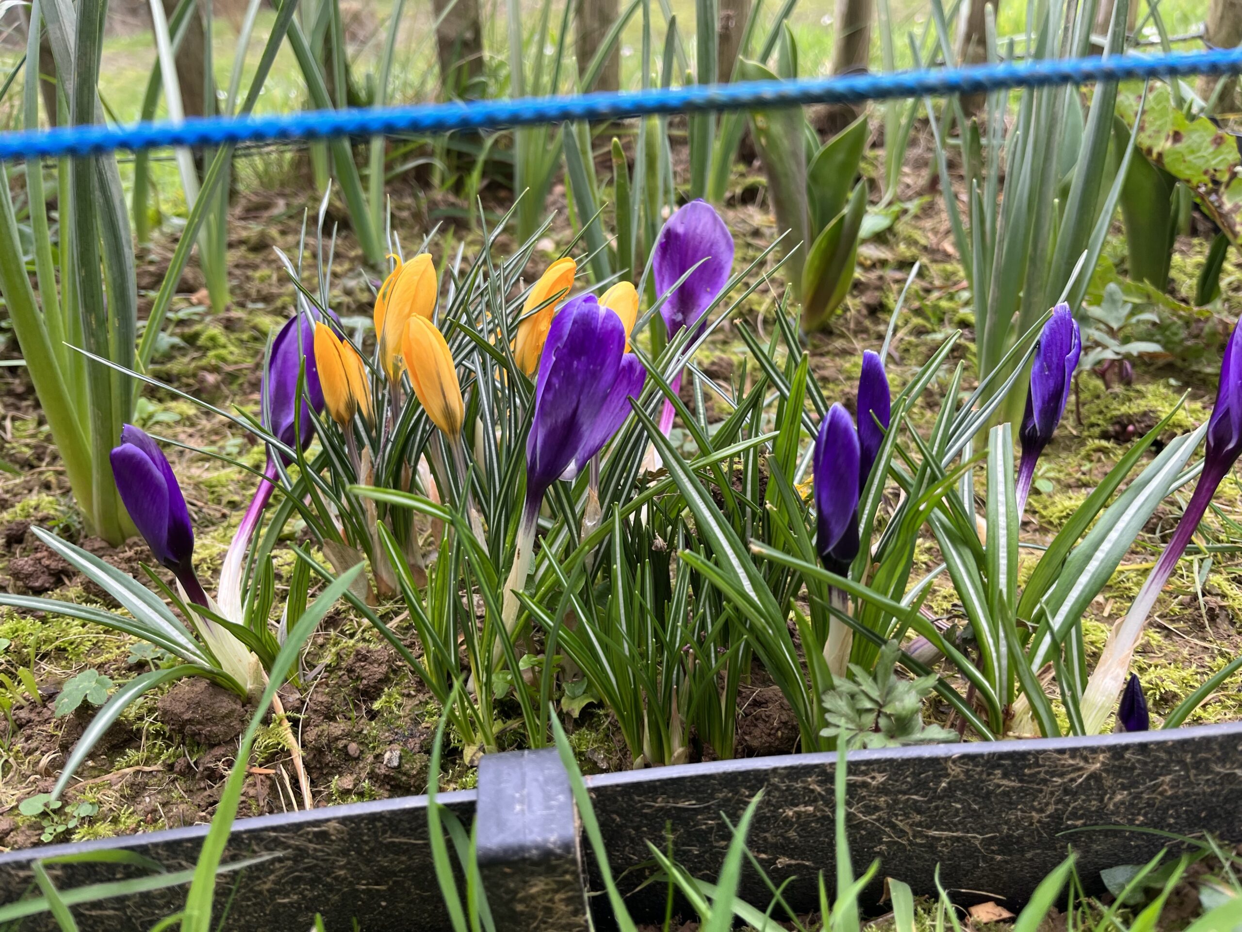 Endobreizh et endométriose